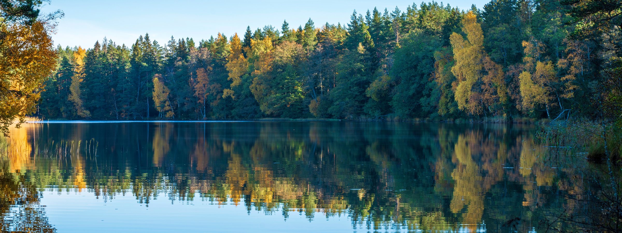 Autumn woodland reflected in still water